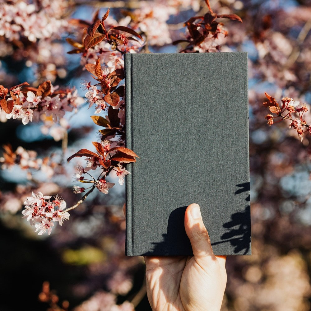 Musta kirja, jota pidellään kädessä kirsikankukkia vasten.