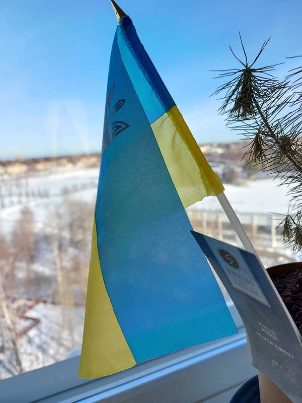Ukrainan lippu ikkunaa vasten kuvattuna